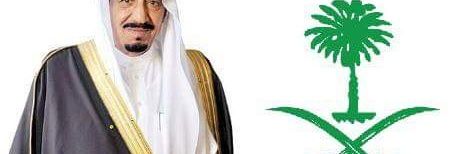 علي حدادي‎ banner