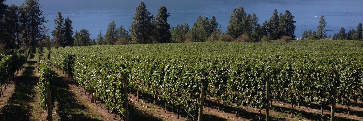 BC Wine Appreciation banner