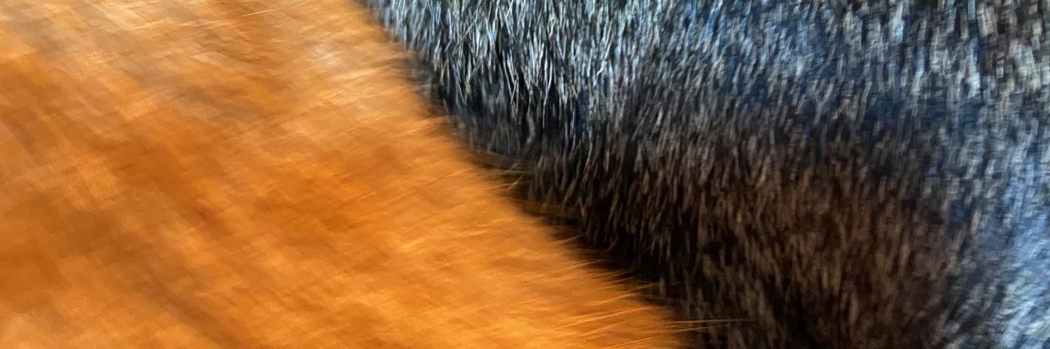 ももりンゴ🍑🍎🐈🐈‍⬛🐈‍⬛🐈🦆🦆🦆🐟🦐 banner