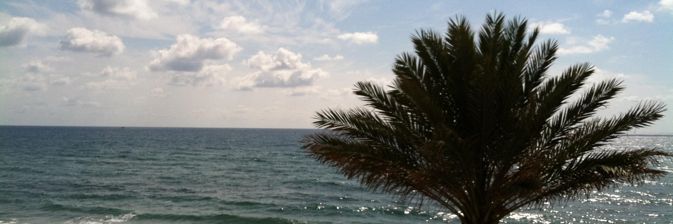 danesh74's profile banner image