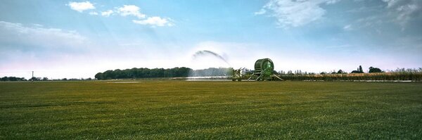 PaynesTurf Profile Banner