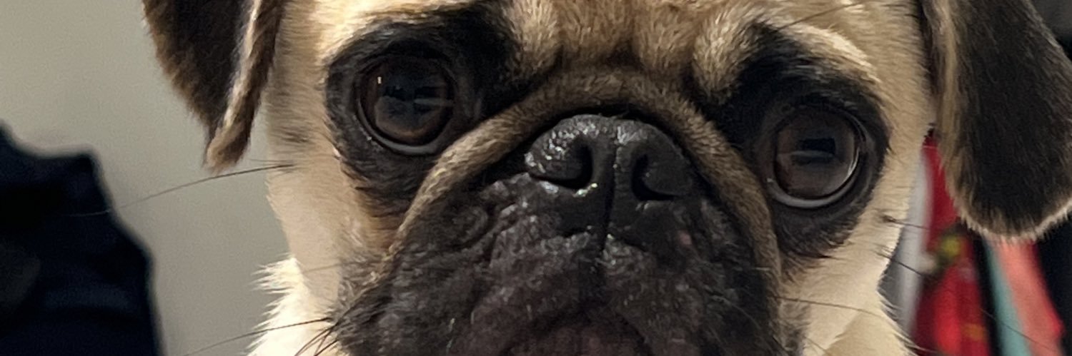 2svge's profile banner image