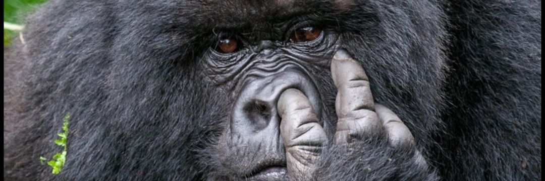jjlmblack's profile banner image