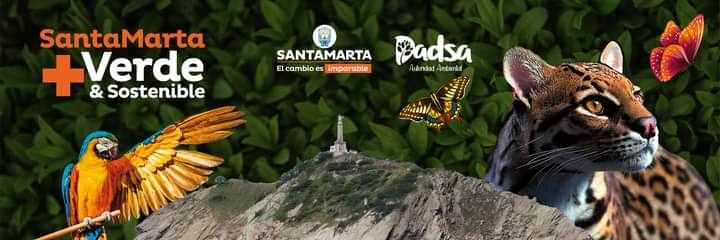 Dadsa Santa Marta banner