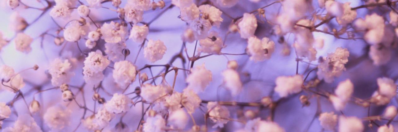 kimmeegirl's profile banner image