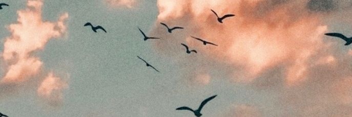 ســ 🪽 banner