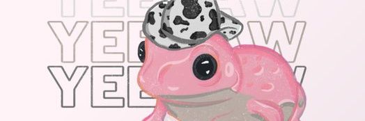 SpeaK now (taylor's version) banner