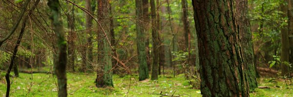 Druidic_Bob Profile Banner