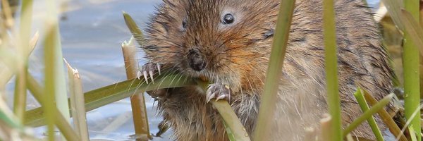 UKC51 Profile Banner