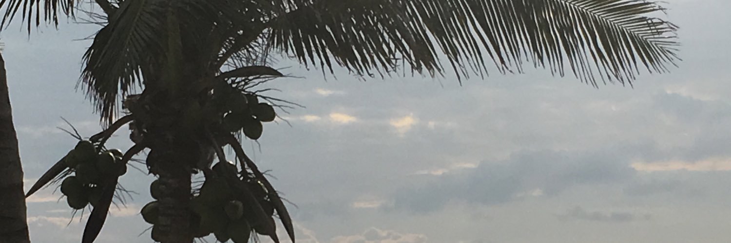 lugastalalla's profile banner image