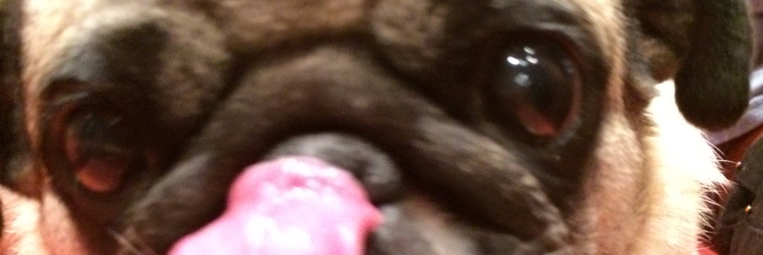 JamieP0tter's profile banner image