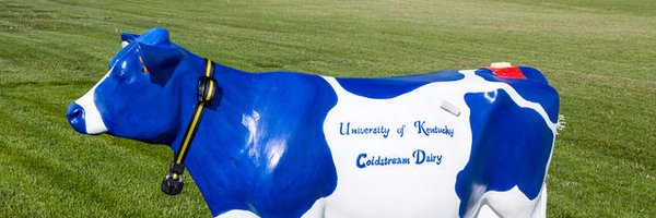 PrecisionPatty Profile Banner