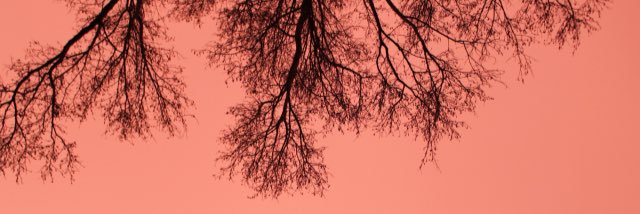 blinkjenn82's profile banner image