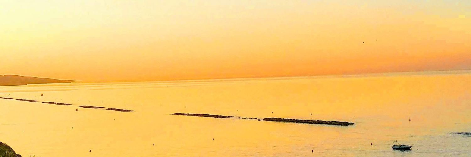 ben5511's profile banner image