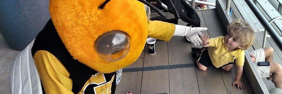 GaVS_EJohnson's profile banner image