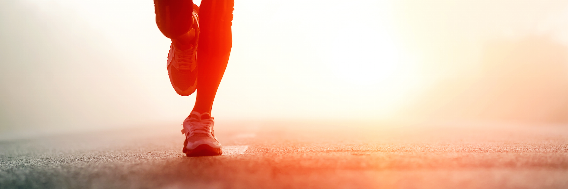 KatyHalf's profile banner image