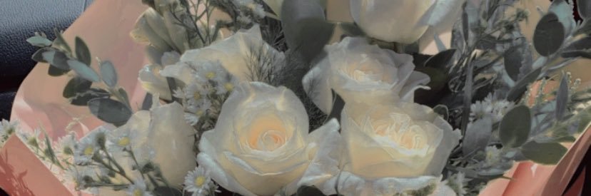 sidekade's profile banner image