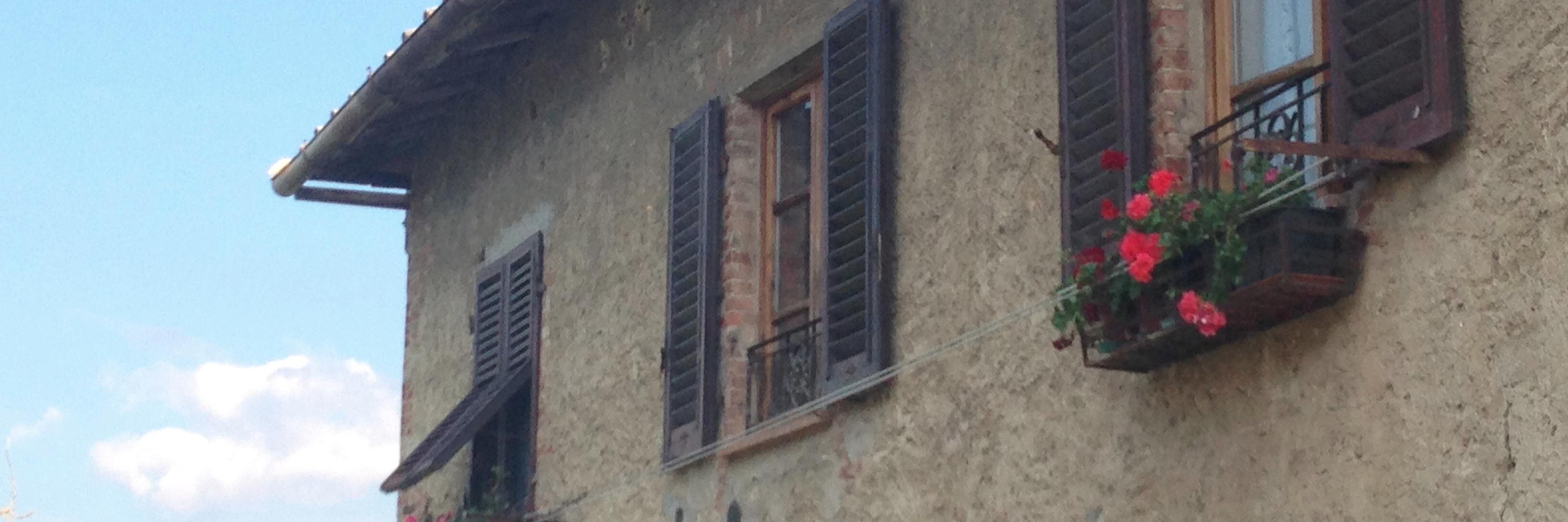 Libby Harrold banner