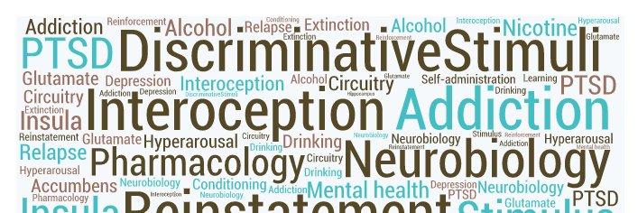 Dr. Joyce Besheer banner