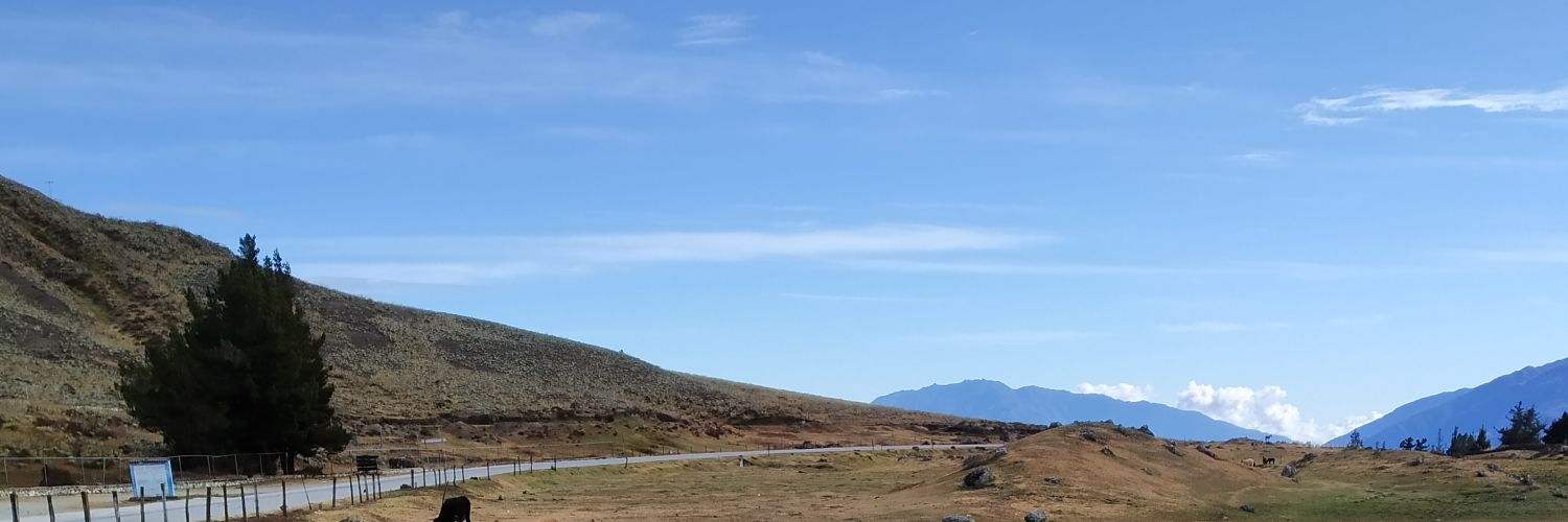anpekas's profile banner image