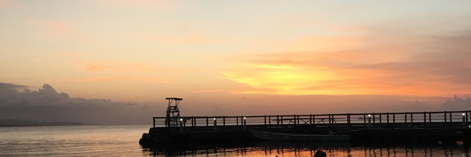 joshogue's profile banner image