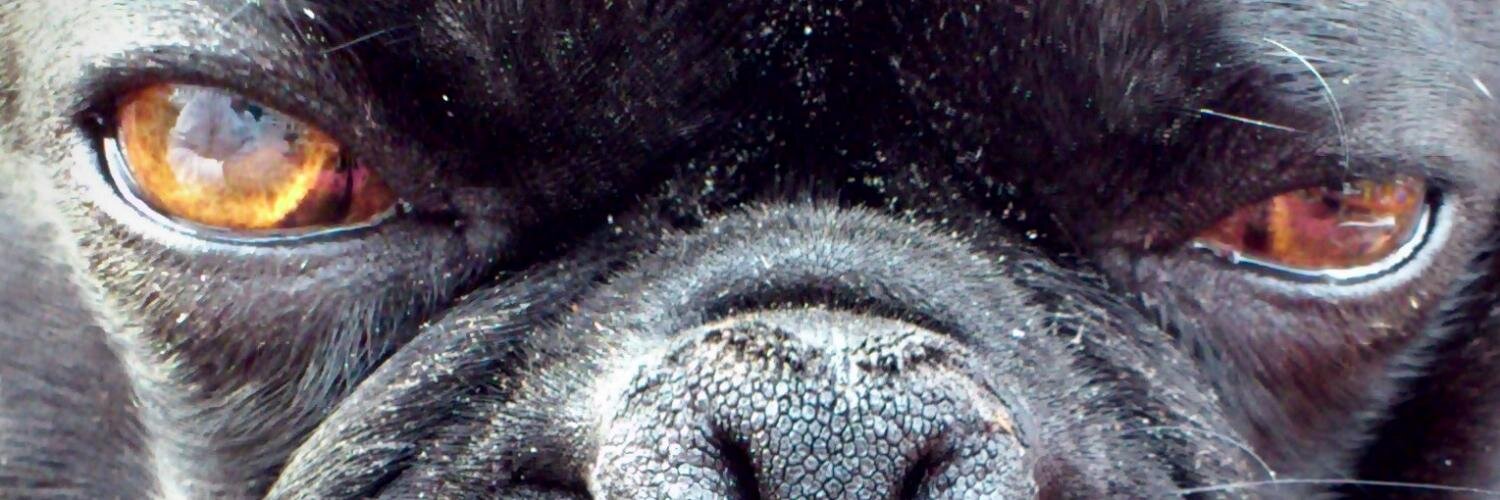Master_P_the_Gu's profile banner image