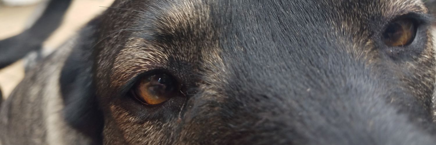 __kelsss's profile banner image
