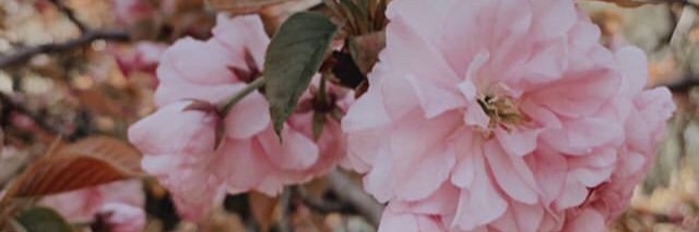 aulya_23's profile banner image