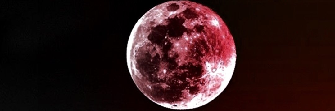 ReFuZioNx banner