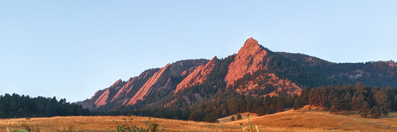 Dr. Noora Alsaeed banner