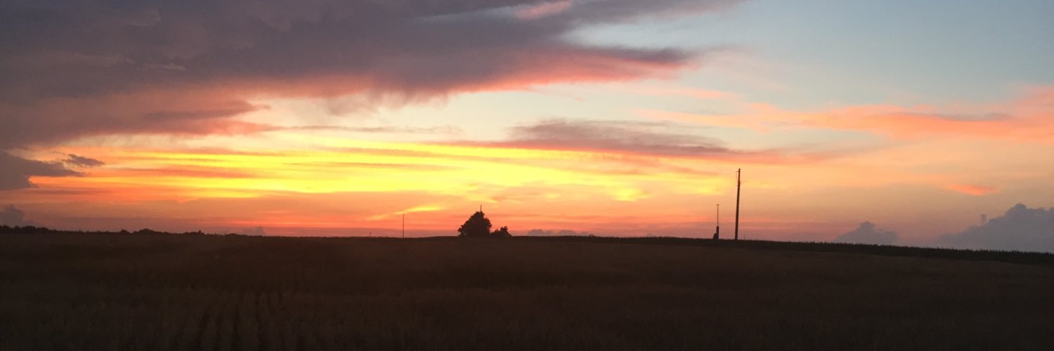 MaddieMarker's profile banner image
