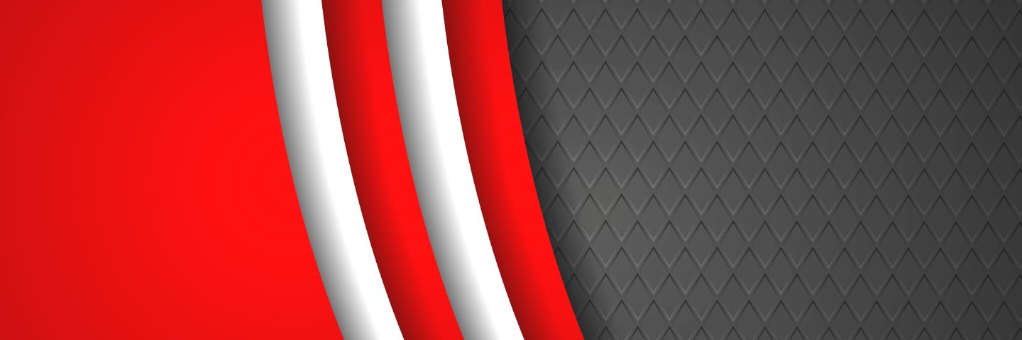 Erica Castillo banner