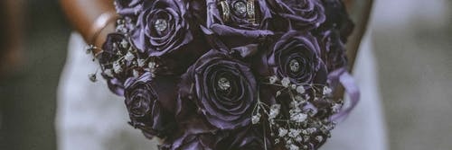 Rosevinalla❤️ Memecoin banner