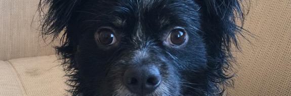 enesdinc4's profile banner image