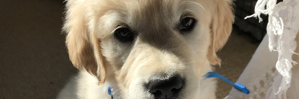 jopaylor34's profile banner image
