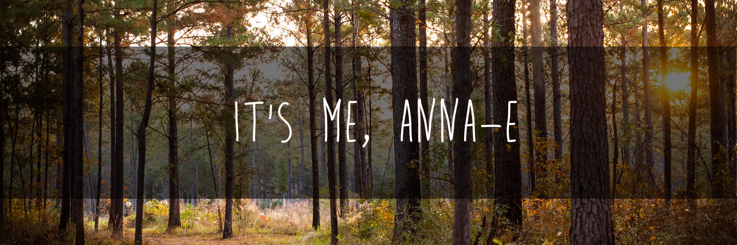 ItsMeAnnaE's profile banner image