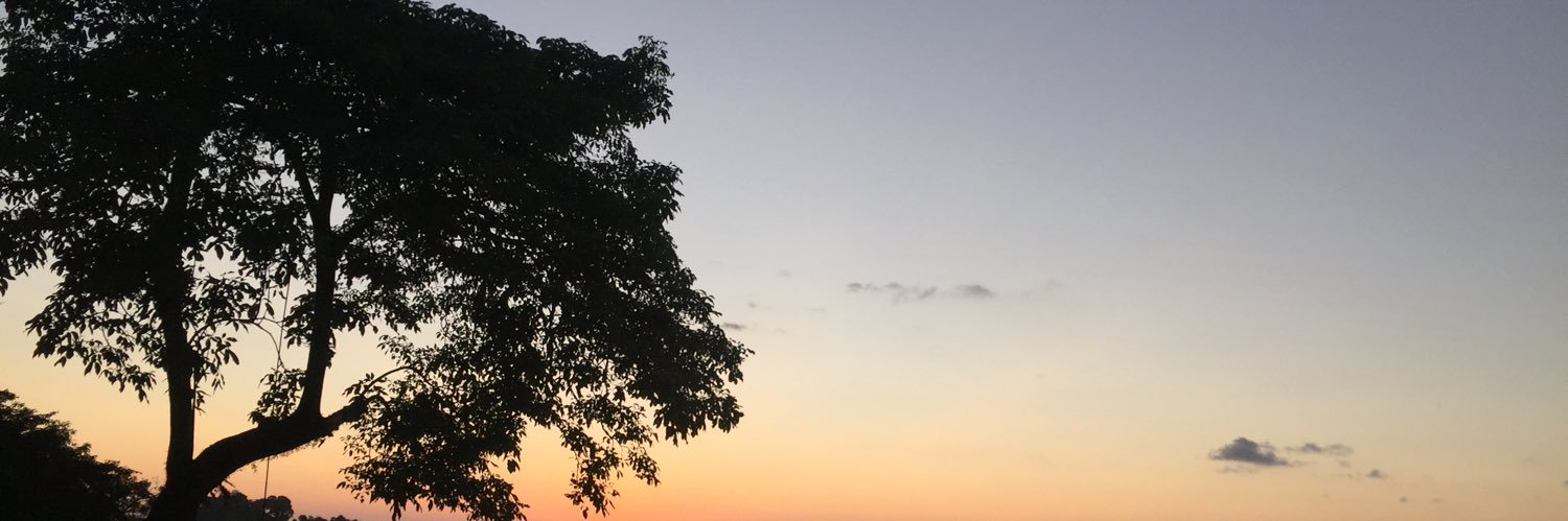 CaitlinThomas92's profile banner image