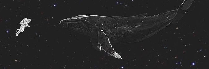 PooWookie's profile banner image