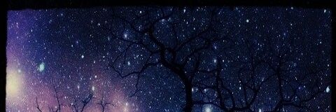 fernand84424220's profile banner image
