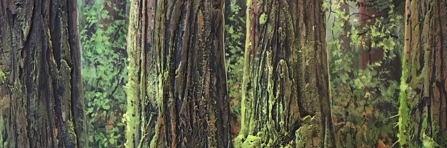 caduds's profile banner image