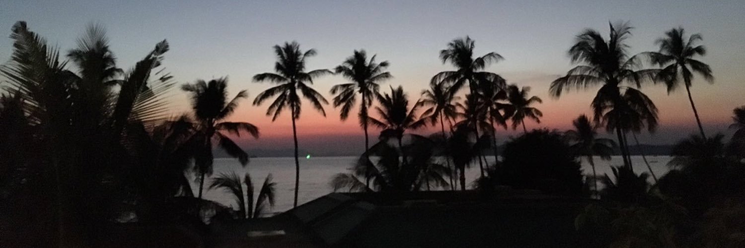 elinunes_t's profile banner image