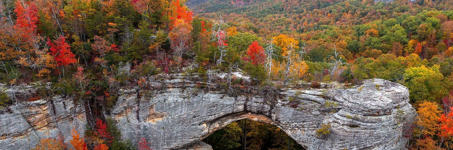 “I (and state your name)…” ✍️ banner