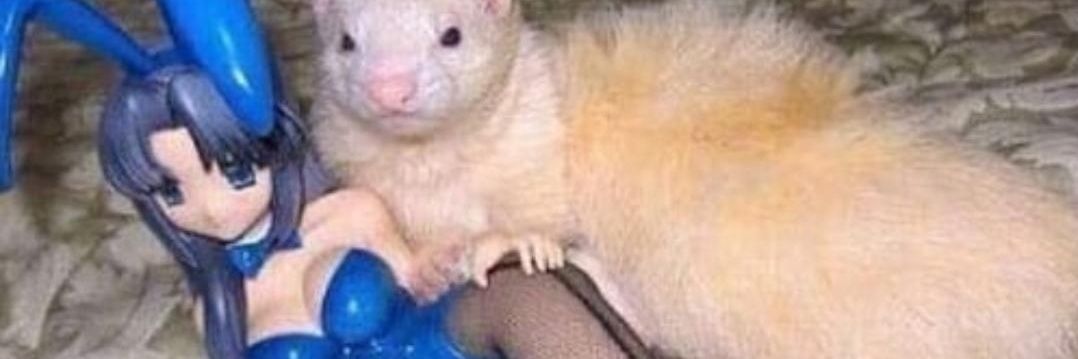 Rake2033's profile banner image