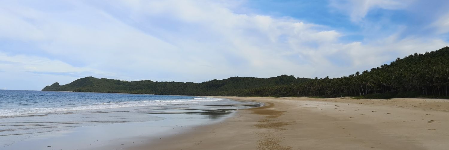 Paolo Layug banner