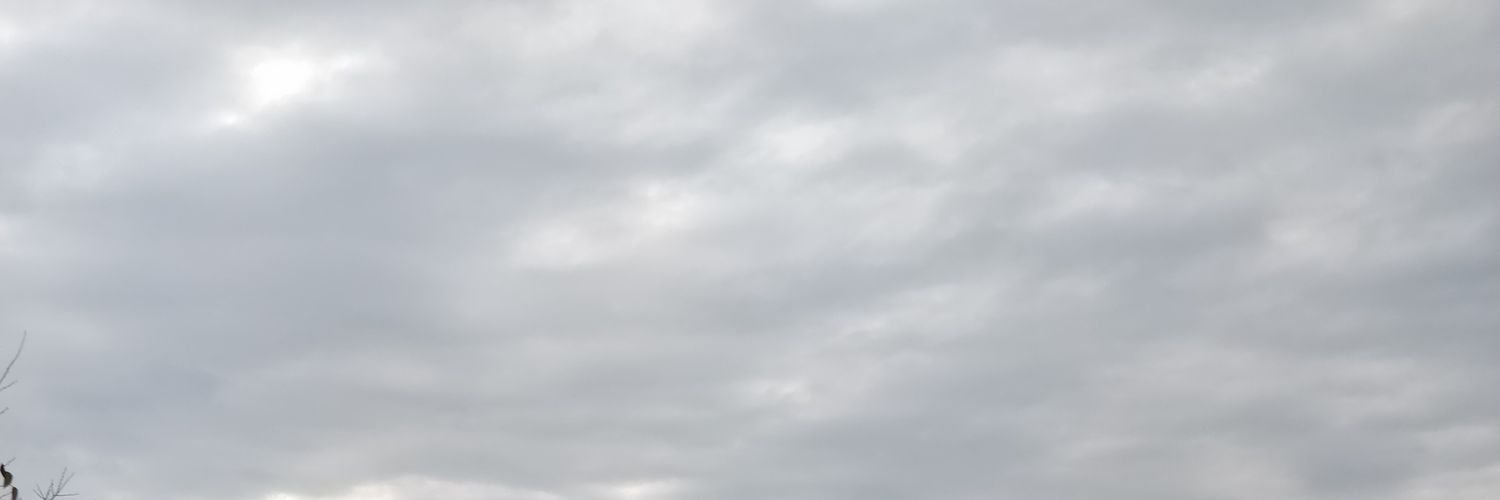 koukoutianos's profile banner image