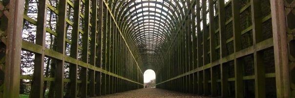 Melanie Smith banner