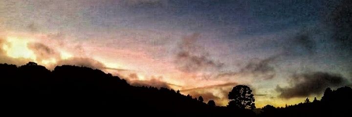 emerson_ea_'s profile banner image