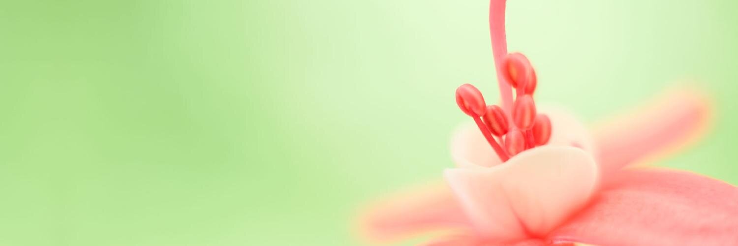 kopaija's profile banner image