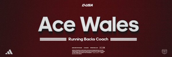 IM_THEEACEWALES Profile Banner
