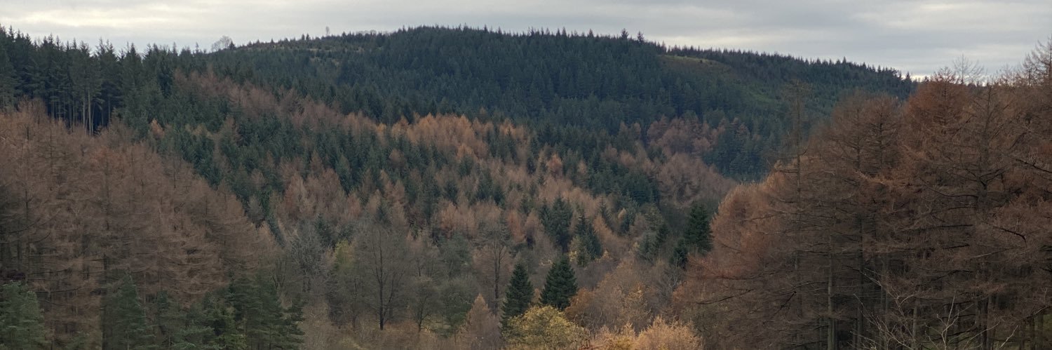 Ellie banner